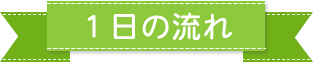 一日の流れ