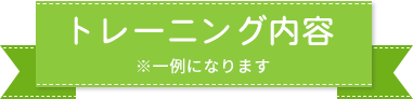 トレーニング内容※一例になります